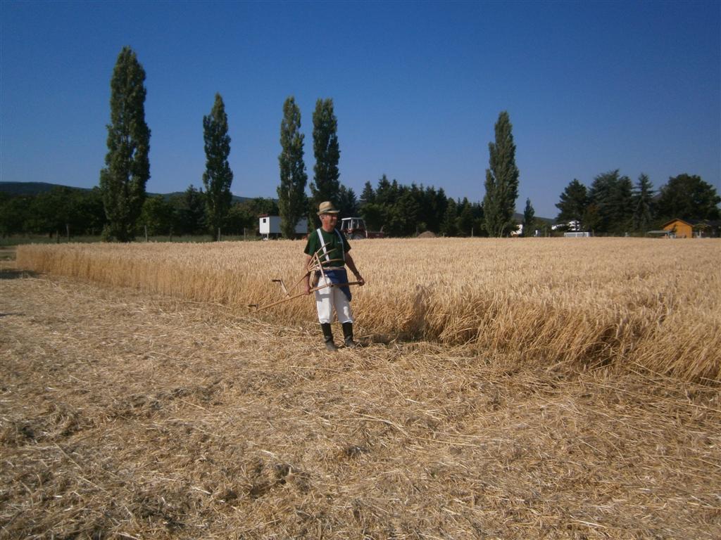 2013-08-16. bis 18. Rechnitzer Dreschkirtag